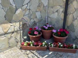 Дом в Краснодарский край, Геленджик Кубанская ул., 12А (45 м²) - . Геленджик - фото 36