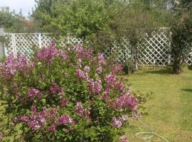 Дом в Свердловская область, Екатеринбург Механизатор СНТ, 31 (50 м²) - . Екатеринбург - фото 10