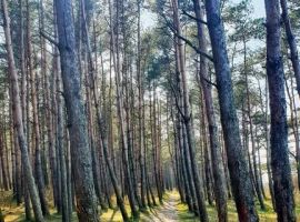 Дом в Калининградская область, Зеленоградск Прибой садоводческое товарищество, ул. Балтийская, 737 (47 м²) - Балтийская. Зеленоградск - фото 28
