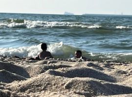 Дом в Калининградская область, Зеленоградск Прибой садоводческое товарищество, ул. Солнечная, 7 (20 м²) - Солнечная поляна. Зеленоградск - фото 3