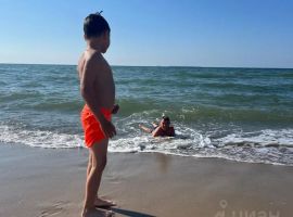 Дом в Калининградская область, Зеленоградск Прибой садоводческое товарищество, ул. Солнечная, 7 (20 м²) - Солнечная поляна. Зеленоградск - фото 4