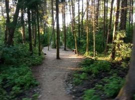 Дом в Калининградская область, Зеленоградск ул. Прибрежная, 25 (37 м²) - . Зеленоградск - фото 24