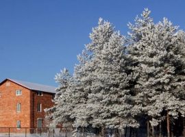 Дом в Ярославская область, Ростов Бакунинская ул., 44 (30 м²) - . Ростов - фото 2