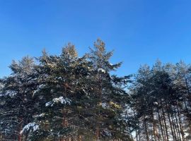 Дом в Ярославская область, Ростов Бакунинская ул., 44 (30 м²) - . Ростов - фото 5