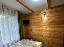 Дом в Ярославская область, Мышкин Колхозный пер., 10 (100 м²) - Колхозный. Мышкин - фото 7