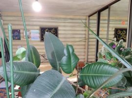 Дом в Красноярский край, Красноярск Норильская ул., 18Ж (120 м²) - . Красноярск - фото 4
