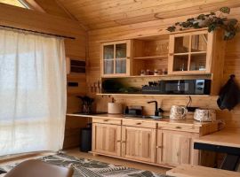 Дом в Саратовская область, Саратов проезд 1-й Холмогорский, 20 (55 м²) - . Саратов - фото 3