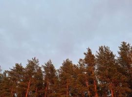 Дом в Ивановская область, Кохма  (36 м²) - . Кохма - фото 3