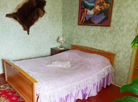 Дом в Ивановская область, Плес Приволжский район, ул. Гагарина, 24 (160 м²) - Гагарина. Плес - фото 4