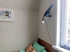 Дом в Вологодская область, Кириллов Краснослободской пер., 2 (80 м²) - . Кириллов - фото 16