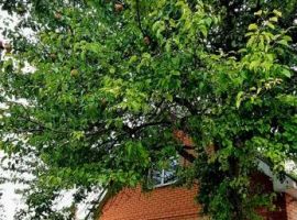 Дом в Ростовская область, Таганрог Конторская ул., 72 (90 м²) - . Таганрог - фото 30
