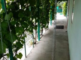 Дом в Оренбургская область, Соль-Илецк Пригородная ул., 55 (20 м²) - . Соль-Илецк - фото 5