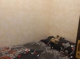 Дом в Краснодарский край, Анапа Новороссийская ул., 34/1 (34 м²) - . Анапа - фото 5