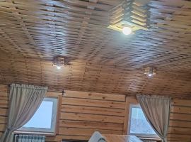 Дом в Алтайский край, Белокуриха Рябиновая ул., 21/2 (40 м²) - Рябиновая (Орлов Овраг тер.). Белокуриха - фото 5
