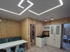 Дом в Ставропольский край, Невинномысск Каштановая ул., 16 (54 м²) - Каштановая. Невинномысск - фото 29
