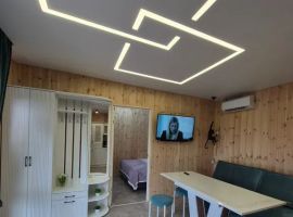 Дом в Ставропольский край, Невинномысск Каштановая ул., 16 (54 м²) - Каштановая. Невинномысск - фото 30