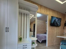 Дом в Ставропольский край, Невинномысск Каштановая ул., 16 (54 м²) - Каштановая. Невинномысск - фото 32