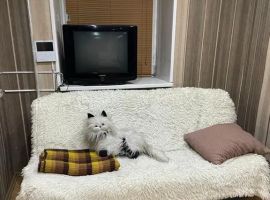 Дом в Челябинская область, Челябинск Братская ул., 14 (350 м²) - . Челябинск - фото 18
