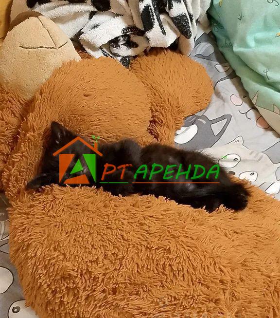 Углич. Дом в Ярославская область, Углич Кашинское ш., 1Д (60 м²), , д. 1Д - фото 11