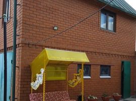 Дом в Воронежская область, Павловск ул. Пушкина, 11 (20 м²) - ГСК Пушкина 268. Павловск - фото 0