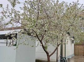 Дом в Ставропольский край, Светлоград г. Петровский муниципальный округ, ул. Красная, 67 (50 м²) - Красная. Светлоград г. - фото 0