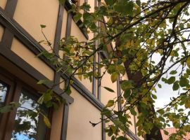 Дом в Ленинградская область, Кировск Магистральная ул. (180 м²) - Магистральная (Сорокин Хутор тер). Кировск - фото 2
