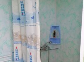 Дом в Алтайский край, Яровое Кулундинская ул., 40 (36 м²) - Кулундинская. Яровое - фото 15