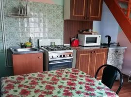 Дом в Алтайский край, Яровое Кулундинская ул., 40 (36 м²) - Кулундинская. Яровое - фото 6