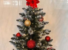Дом в Ставропольский край, Ессентуки ул. Чапаева, 8 (90 м²) - Чапаева. Ессентуки - фото 26