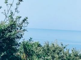 Дом в Краснодарский край, Сочи ул. Декабристов, 15 (80 м²) - Декабристов. Сочи - фото 1