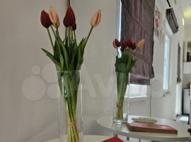 1-к. дом, 40 м² - Красная. Геленджик - фото 10