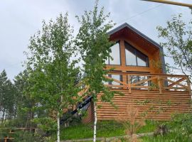 Дом в Челябинская область, Куса г. Кусинское городское поселение, ул. Дружбы, 9 (32 м²) - Дружбы Народов. Куса г. - фото 2