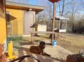 Дом в Ленинградская область, Выборг Парковая ул., 2А (46 м²) - Парковая. Выборг - фото 9
