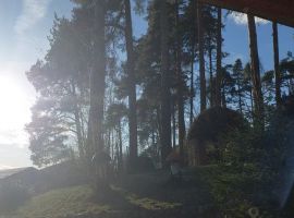 Дом в Ленинградская область, Выборг Парковая ул., 2А (46 м²) - Парковая. Выборг - фото 8