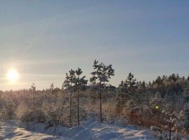 Дом в Тверская область, Весьегонск Дачная ул., 12 (100 м²) - Садово-Дачная. Весьегонск - фото 21