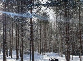 Дом в Тверская область, Весьегонск Дачная ул., 12 (100 м²) - Садово-Дачная. Весьегонск - фото 22