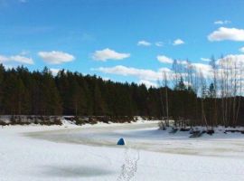 Дом в Тверская область, Весьегонск Дачная ул., 12 (100 м²) - Садово-Дачная. Весьегонск - фото 23
