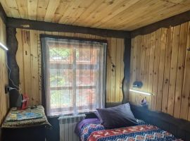 Дом в Алтайский край, Белокуриха Партизанская ул., 40 (60 м²) - Партизанская. Белокуриха - фото 10