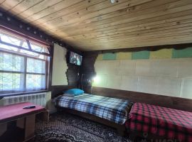 Дом в Алтайский край, Белокуриха Партизанская ул., 40 (60 м²) - Партизанская. Белокуриха - фото 4