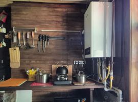 Дом в Алтайский край, Белокуриха Партизанская ул., 40 (60 м²) - Партизанская. Белокуриха - фото 8