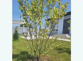 Дом в Краснодарский край, Анапа Новороссийская ул., 135 (64 м²) - . Анапа - фото 12