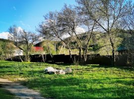 Дом в Алтайский край, Белокуриха Центральная ул., 50/1 (140 м²) - Центральная (19 км Московского шоссе тер. Белокуриха - фото 12