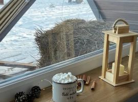 Дом в Приморский край, Арсеньев Речная ул., 54/10 (45 м²) - Речная. Арсеньев - фото 29