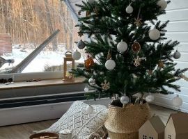 Дом в Приморский край, Арсеньев Речная ул., 54/10 (45 м²) - Речная. Арсеньев - фото 32