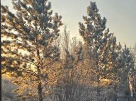 Дом в Красноярский край, Красноярск Пригорная ул., 53А/135 (52 м²) - . Красноярск - фото 11