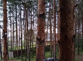 Дом в Красноярский край, Красноярск Свободный просп., 77А/117 (105 м²) - . Красноярск - фото 18
