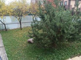 Дом в Ленинградская область, Гатчина Корпиковское ш., 35/1 (40 м²) - . Гатчина - фото 2