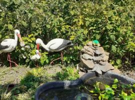 Дом в Ставропольский край, Кисловодск ул. Осипенко, 20 (60 м²) - Полины Осипенко. Кисловодск - фото 13