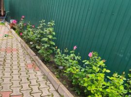 Дом в Ставропольский край, Ессентуки ул. Максима Горького, 73 (60 м²) - Максима Горького. Ессентуки - фото 21