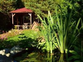 Дом в Ленинградская область, Приморск Красное Яблочко СНТ, 73 (60 м²) - . Приморск - фото 13